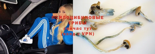марихуана Инта