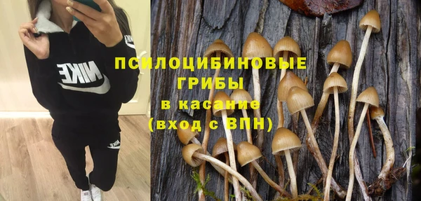 Альфа ПВП Каменногорск