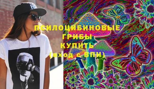 Альфа ПВП Каменногорск