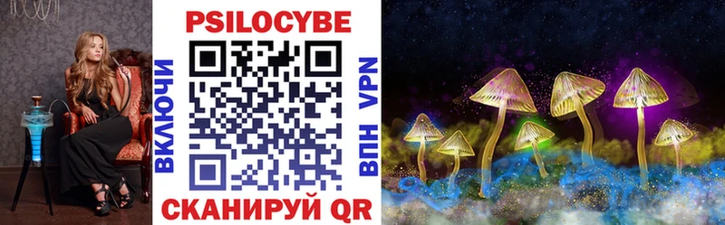 что такое наркотик  Назрань  Псилоцибиновые грибы Psilocybe 