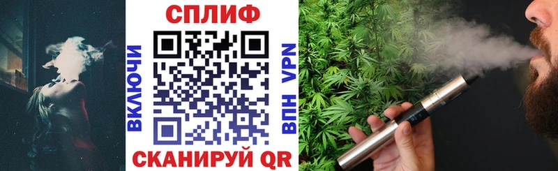 Конопля сатива  Назрань 
